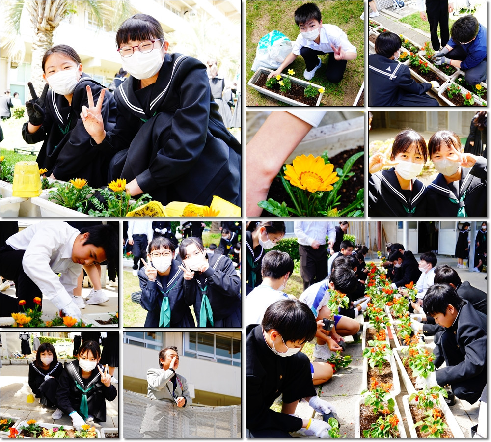 0516　うぐいす運動２年花植え４