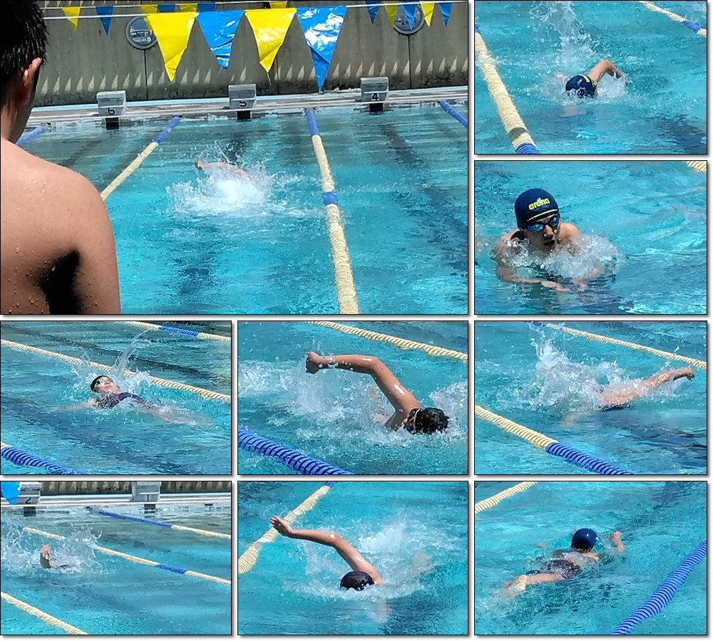 0605　市総体水泳競技１
